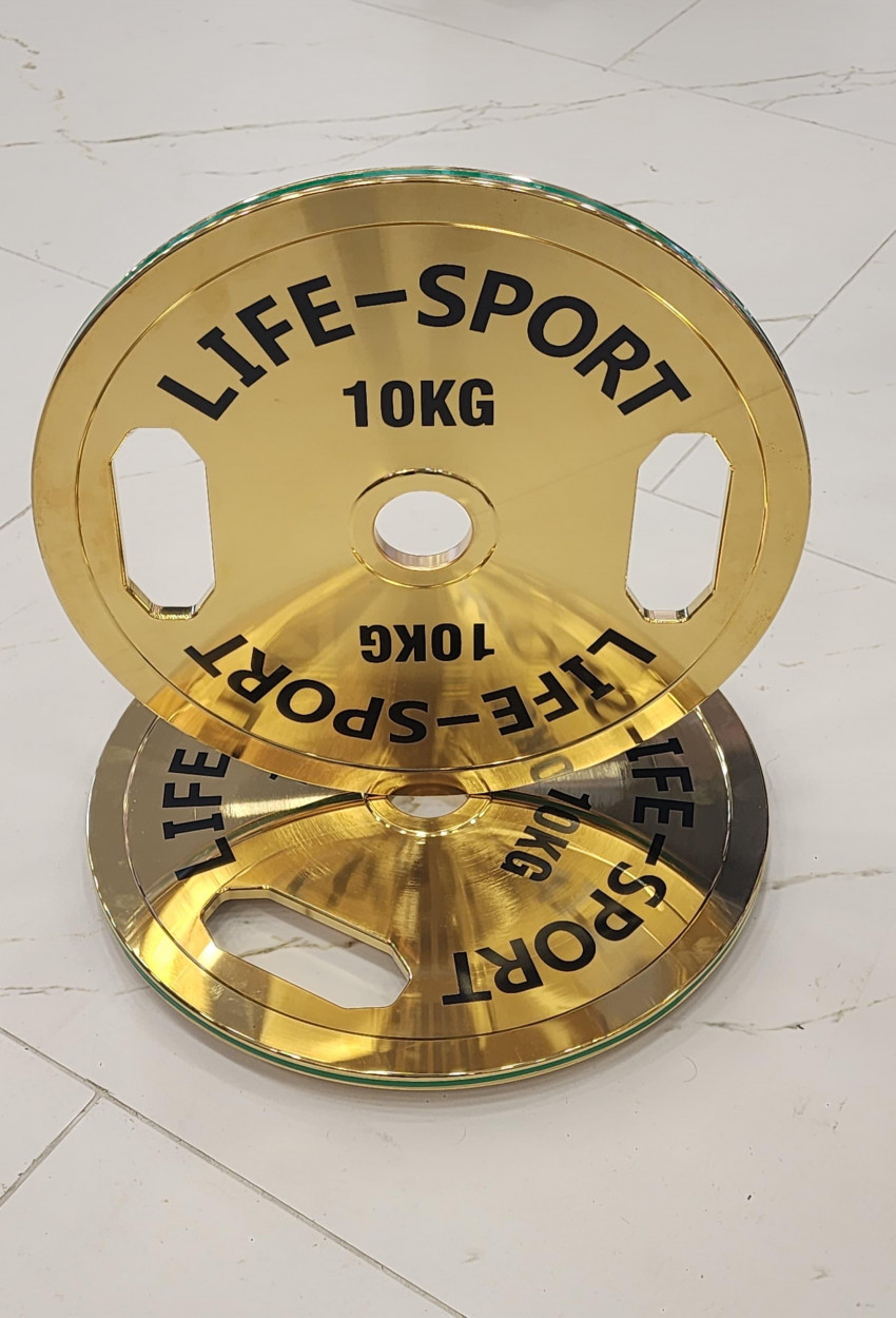 Life Sport Pro Bronze Coating Change Plate 10 kg